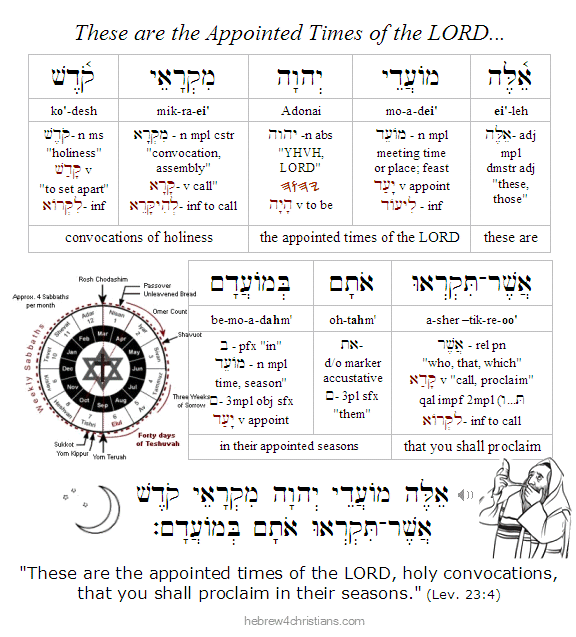 Leviticus 23:2b Hebrew Lesson