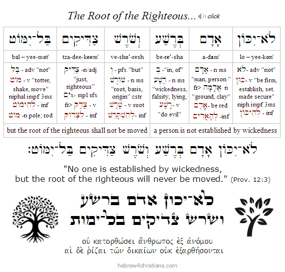 Proverbs 12:3 Hebrew Lesson