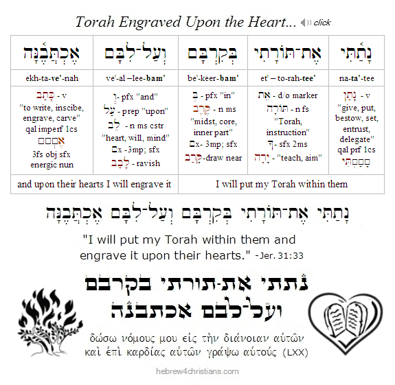 Jeremiah 33:31 Hebrew Lesson