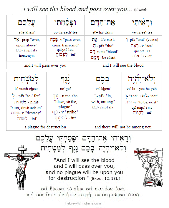 Exodus 12:13b Hebrew Lesson