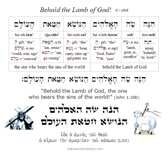 John 1:29b Hebrew 