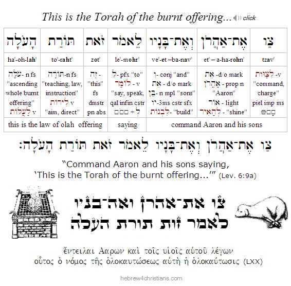 Leviticus 6:9a Hebrew Analysis