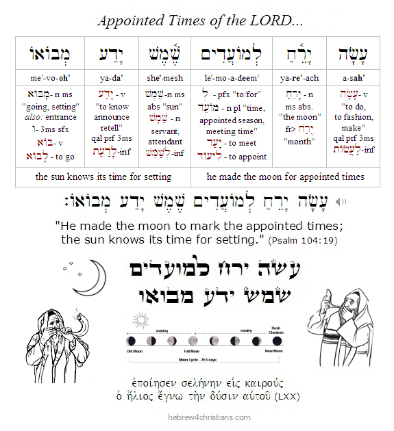 Psalm 104:19 Hebrew Analysis